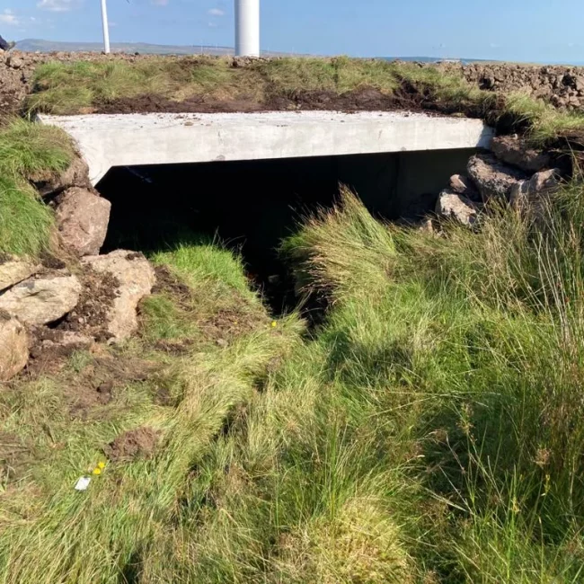 1. Renewable Energy Project - 1